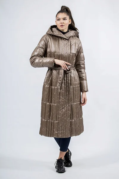 Women's Basic Plain Goose Down Hooded Down Jacket for Autumn (Brown, L)