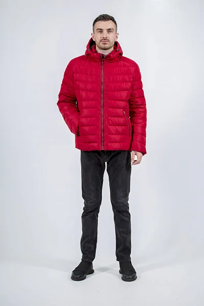 Men's winter down jacket with stand-up collar and hood, bio-down Snow Image (red, 48)
