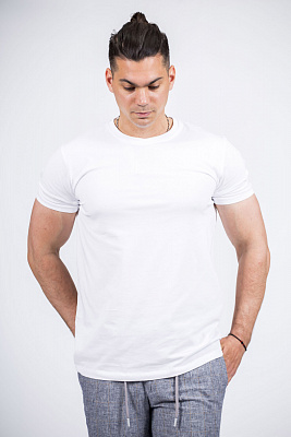 Мужская футболка Avvenente (7701), фото 1, цена